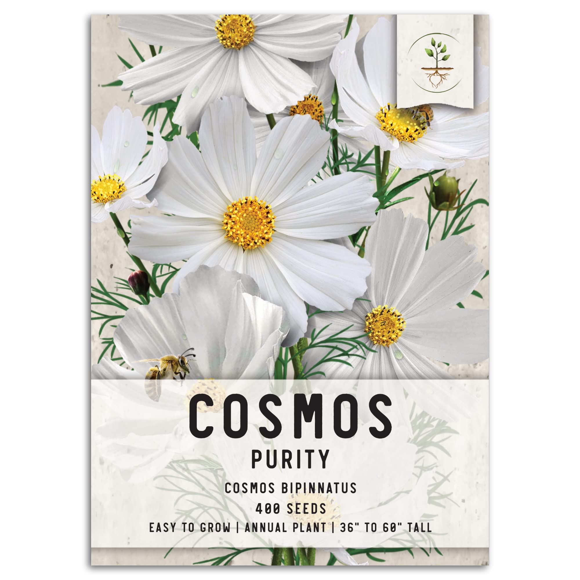 Amazon.com : Seed Needs Cosmos Seeds for Planting Purity White